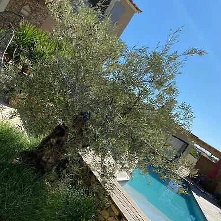 Le Pool House ニーム