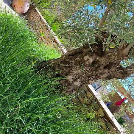 Le Pool House ベッド・アンド・ブレックファスト