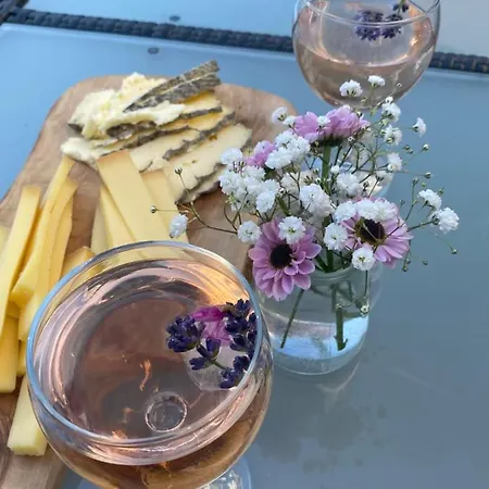 Oda ve Kahvaltı Le Pool House Nîmes