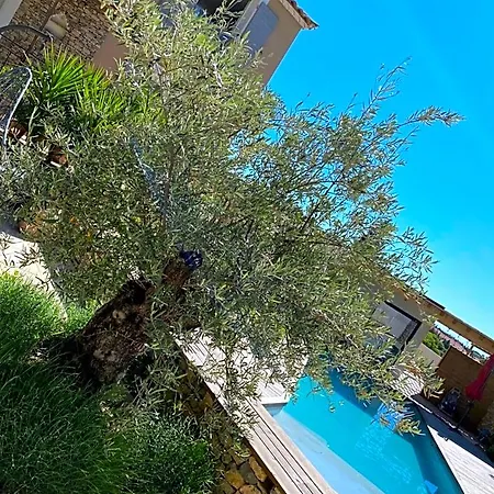 Le Pool House 4* Nîmes