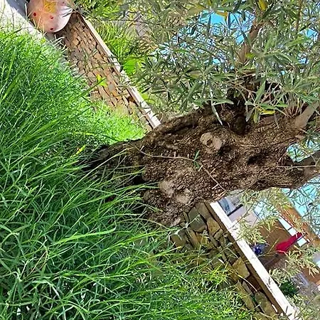 Le Pool House Oda ve Kahvaltı