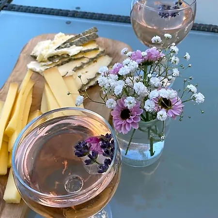 Oda ve Kahvaltı Le Pool House Nîmes